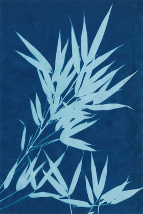 Picture of CYANOTYPE NO.1