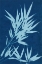 Picture of CYANOTYPE NO.1