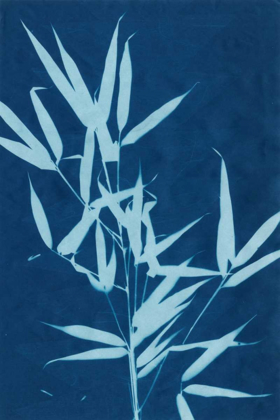 Picture of CYANOTYPE NO.2