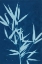Picture of CYANOTYPE NO.2