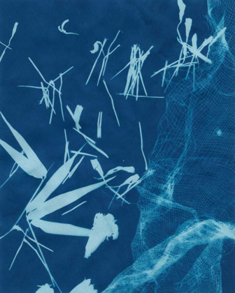 Picture of CYANOTYPE NO.6