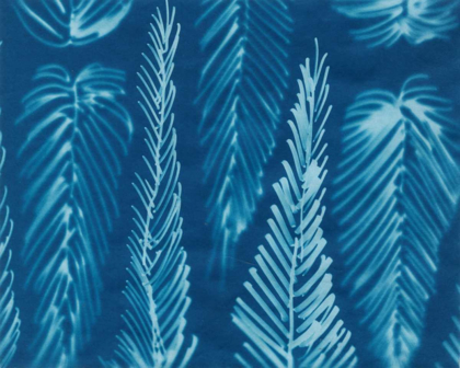 Picture of CYANOTYPE NO.8