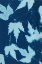 Picture of CYANOTYPE NO.10