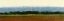 Picture of PLANTING SEASON I