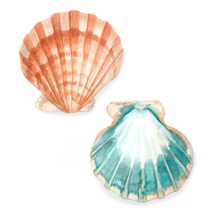 Picture of WATERCOLOR SHELLS I