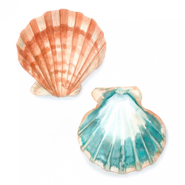 Picture of WATERCOLOR SHELLS I