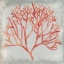 Picture of WATERCOLOR CORAL IV