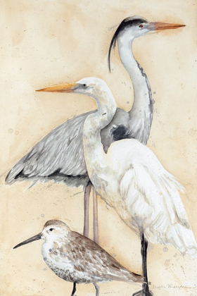 Picture of WATERCOLOR WATERBIRDS I