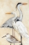 Picture of WATERCOLOR WATERBIRDS I