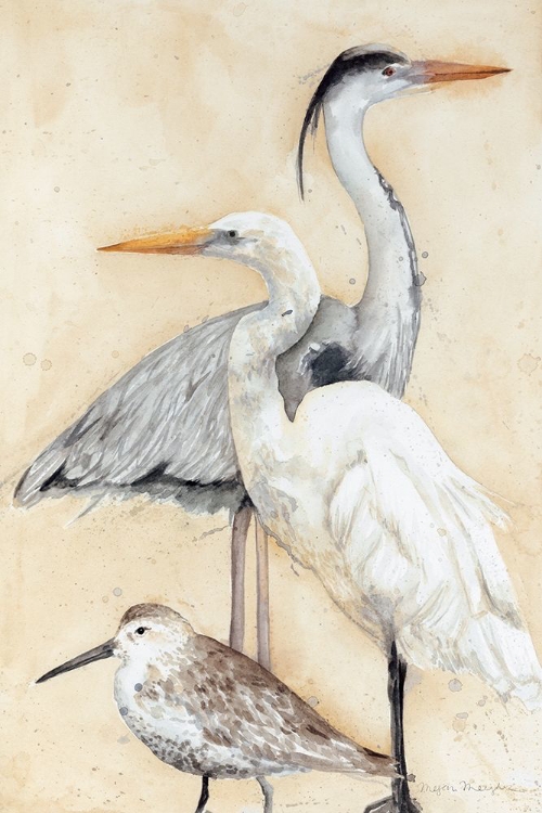 Picture of WATERCOLOR WATERBIRDS I