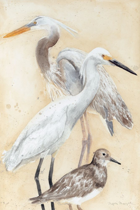 Picture of WATERCOLOR WATERBIRDS II