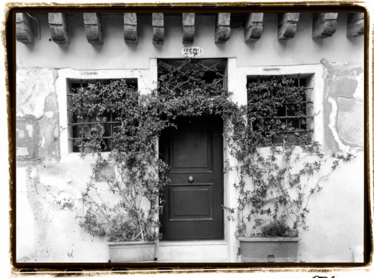 Picture of VENETIAN DOORWAYS V