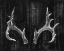 Picture of RUSTIC ANTLERS I