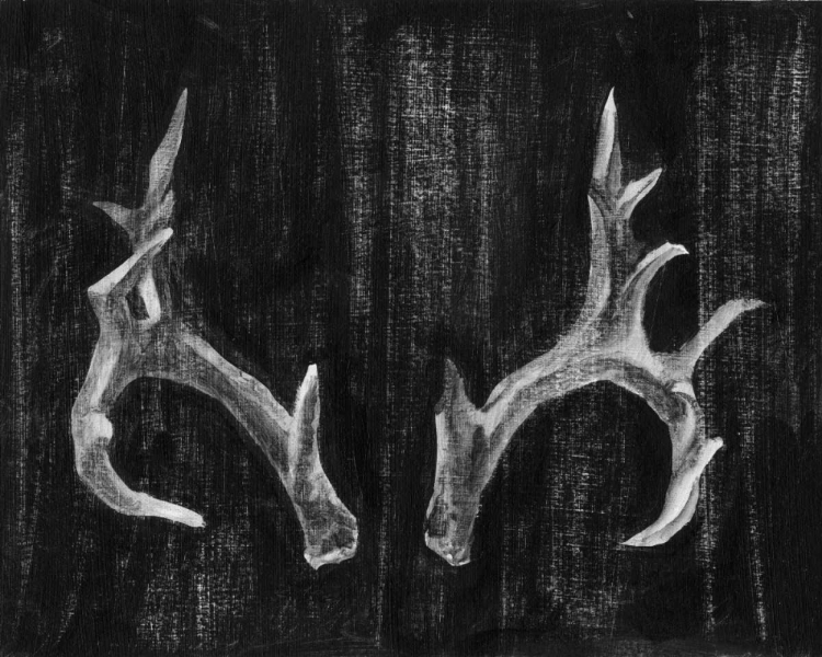 Picture of RUSTIC ANTLERS I
