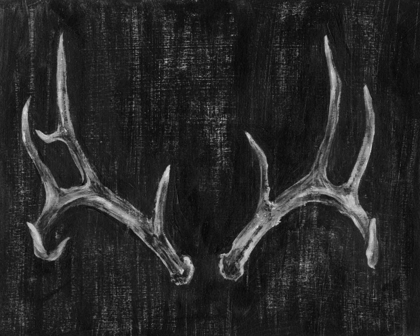 Picture of RUSTIC ANTLERS II
