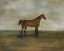 Picture of A BAY HUNTER