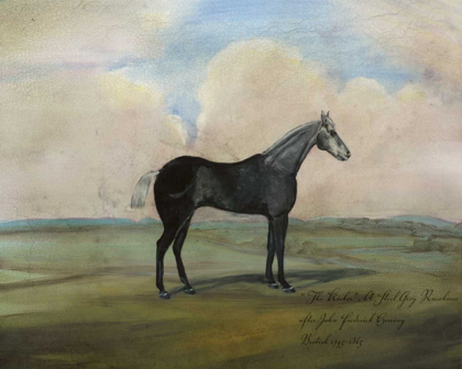 Picture of THE KICKER- A STEEL GREY RACEHORSE
