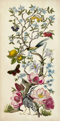 Picture of CHINOISERIE NATURA II