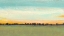 Picture of MORNING IN THE MEADOW II