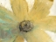 Picture of FLORAL SPIRIT II