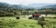 Picture of DOWN ON THE FARM