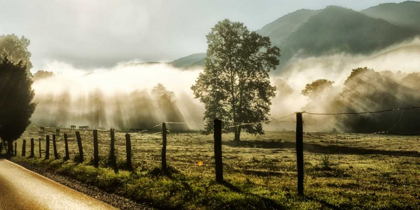 Picture of SUNRISE IN CADES COVE