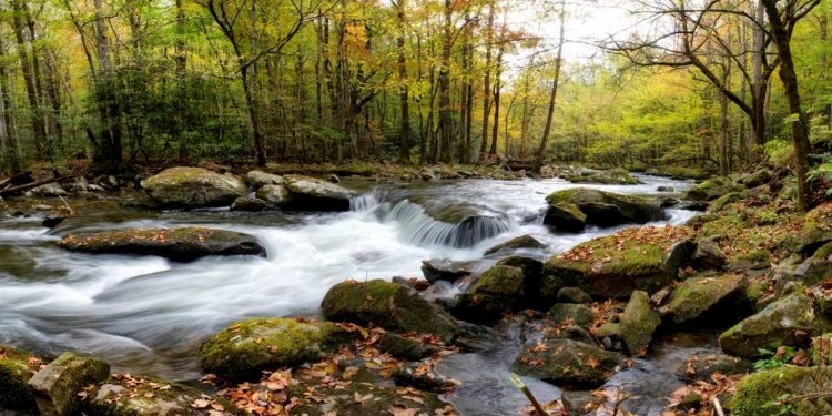 Picture of OVER FLOW PANORAMA