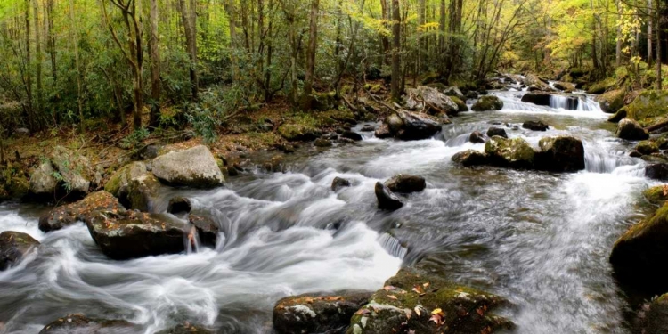 Picture of UP THE CREEK PANORAMA