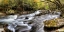 Picture of TREMONT PANORAMA I