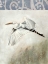 Picture of WATERBIRDS IN MIST II