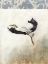 Picture of WATERBIRDS IN MIST IV