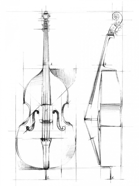 Picture of BASS SKETCH