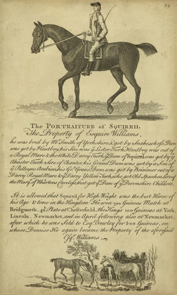 Picture of HORSE PORTRAITURE VI