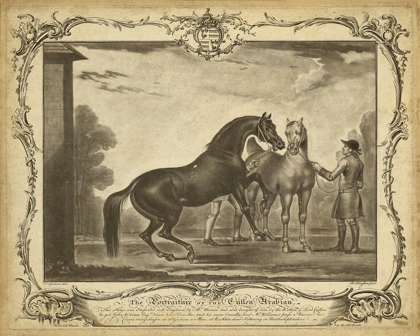 Picture of DISTINGUISHED HORSES III