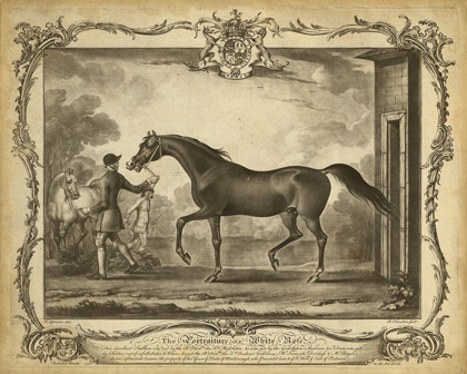 Picture of DISTINGUISHED HORSES IV