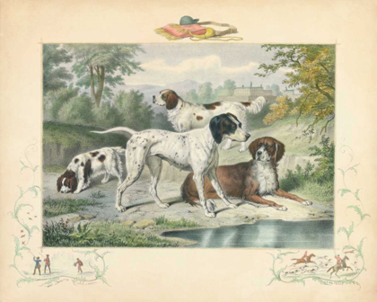 Picture of A GROUP OF SPANIELS