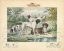 Picture of A GROUP OF SPANIELS