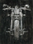 Picture of STEEL HORSE I