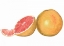 Picture of WATERCOLOR GRAPEFRUIT