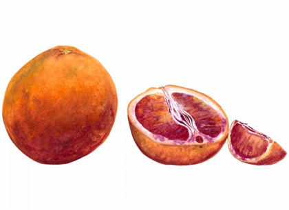 Picture of WATERCOLOR BLOOD ORANGE