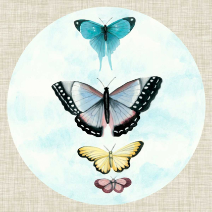 Picture of BUTTERFLY DAYDREAM II