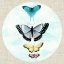 Picture of BUTTERFLY DAYDREAM II