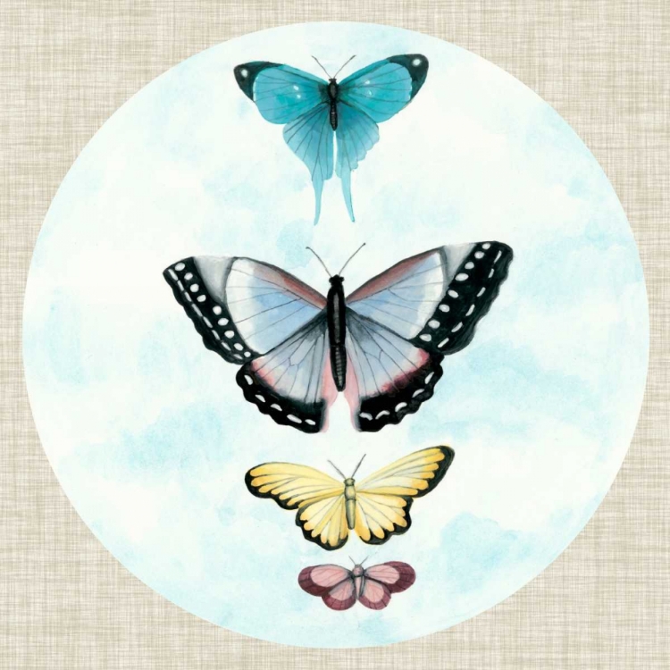 Picture of BUTTERFLY DAYDREAM II