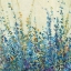 Picture of SHADES OF BLUE II