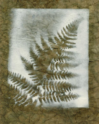 Picture of SHADOWS AND FERNS I