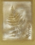 Picture of SHADOWS AND FERNS IV