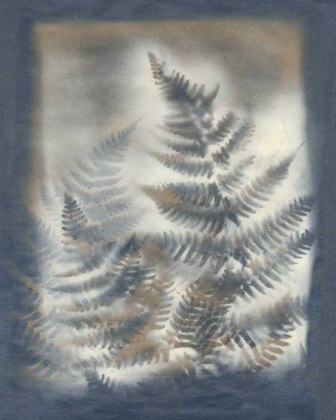 Picture of SHADOWS AND FERNS V