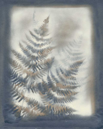 Picture of SHADOWS AND FERNS VI