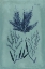 Picture of INDIGO AND AZURE SEAWEED I