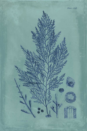 Picture of INDIGO AND AZURE SEAWEED IV
